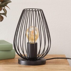 HOMESAKE Metal Geometric Cage Table Lamp