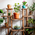 Beginner’s Guide to Thriving Indoor Plants